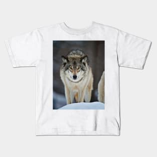 Gray Wolf Kids T-Shirt